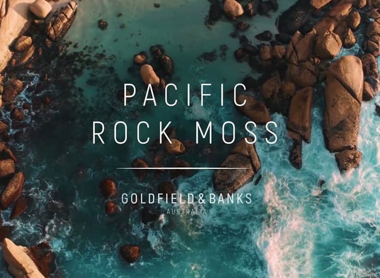 Goldfield & Banks Pacific Rock Moss 100ml - Imagen 3