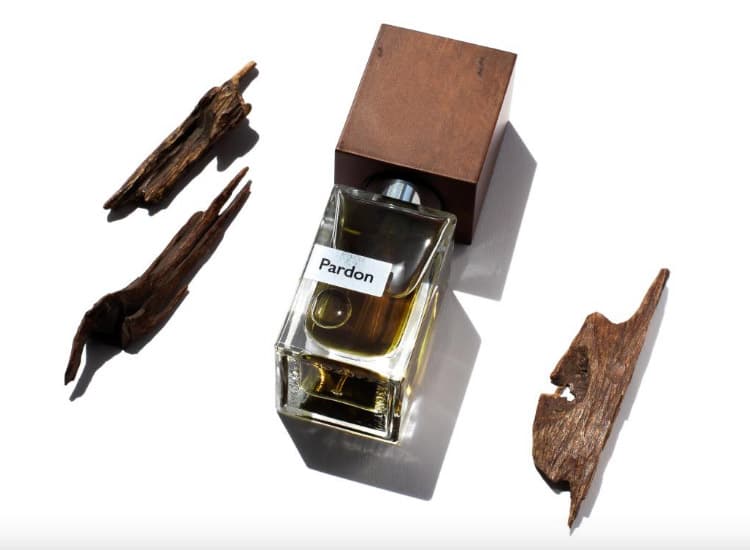 Nasomatto Pardon 30ml - Imagen 2